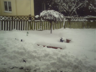 Winter 2008 31.JPG