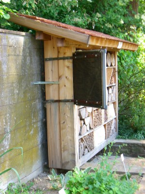 Insektenhaus4.jpg